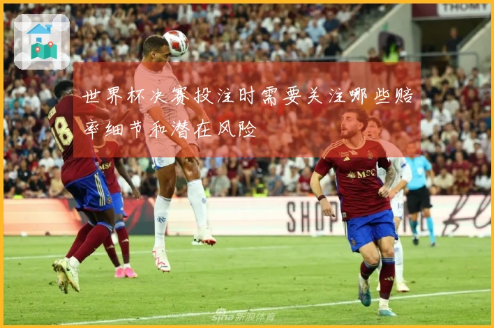 世界杯决赛投注时需要关注哪些赔率细节和潜在风险