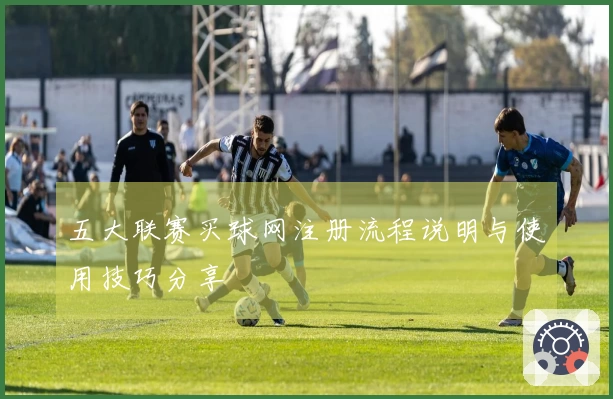 五大联赛买球网注册流程说明与使用技巧分享
