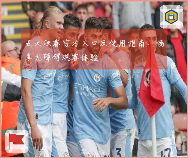 五大联赛官方入口及使用指南，畅享无障碍观赛体验