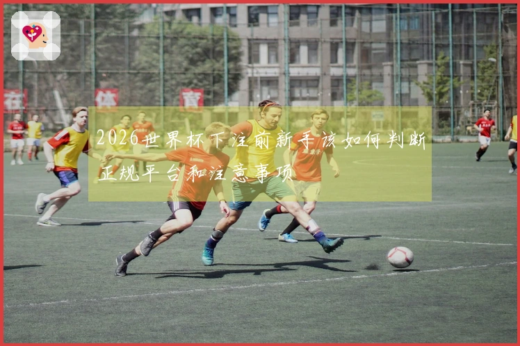 2026世界杯下注前新手该如何判断正规平台和注意事项