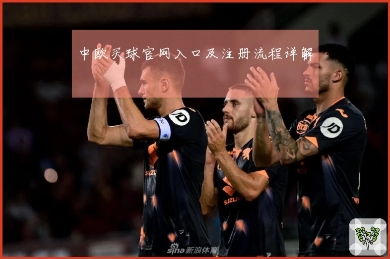 中欧买球官网入口及注册流程详解