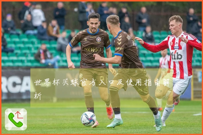 世界杯买球官方入口及使用指南解析