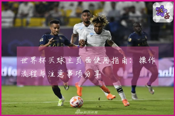 世界杯买球主页面使用指南：操作流程与注意事项分享