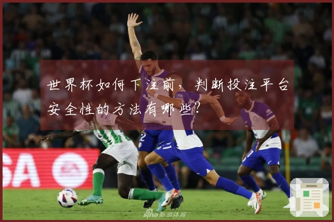 世界杯如何下注前，判断投注平台安全性的方法有哪些？