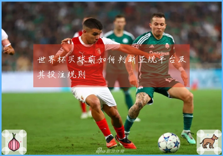 世界杯买球前如何判断正规平台及其投注规则