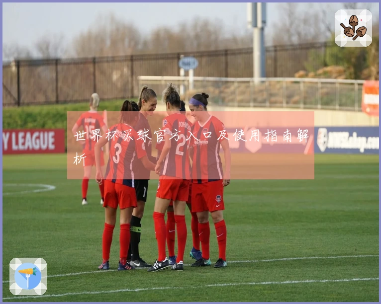 世界杯买球官方入口及使用指南解析