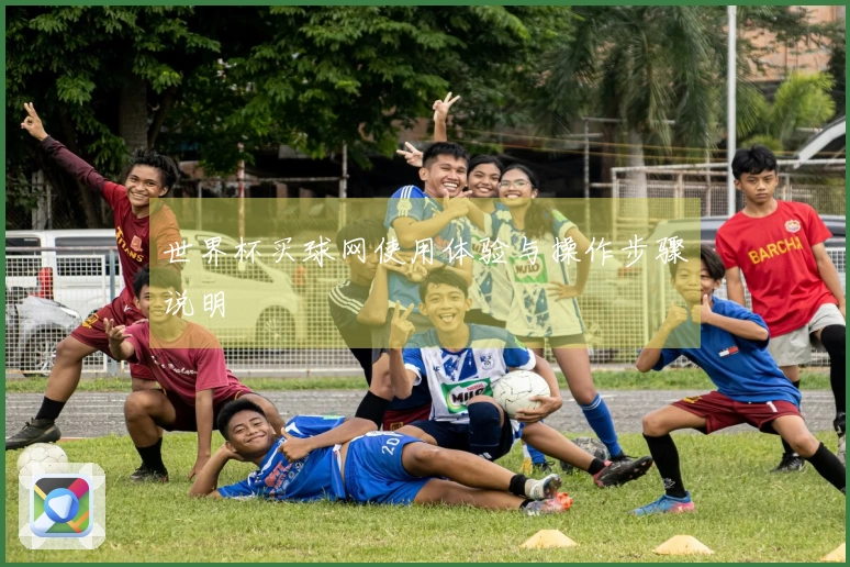 世界杯买球网使用体验与操作步骤说明