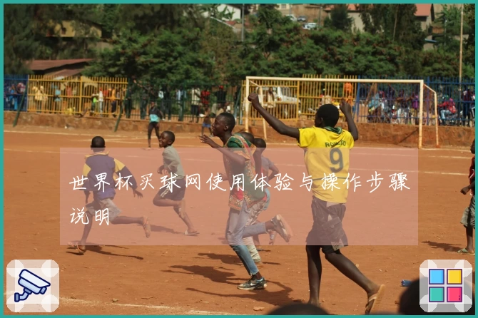 世界杯买球网使用体验与操作步骤说明